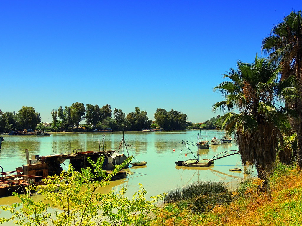 Alquiler de casa en Sevilla con gestión completa y transparente